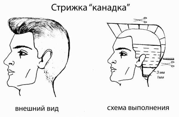 Канадка полубокс – Названия и фото мужских стрижек бокс, полубокс, канадка, британка, боб и другие — VilingStore.net