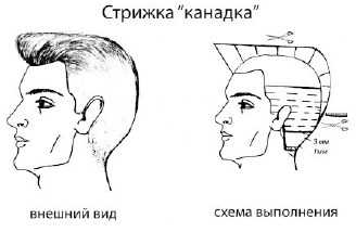 Канадка полубокс – Названия и фото мужских стрижек бокс, полубокс, канадка, британка, боб и другие — VilingStore.net