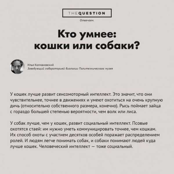 Каверзные ответы на вопросы – 13 умных ответов на каверзные вопросы рекрутера, которые позволят вам занять крутую должность