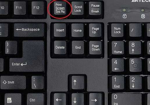 Кнопки на ноутбуке для скриншота – ?
