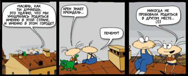 Колкие фразы – Интересные саркастические фразы | ololjjjdkrj
