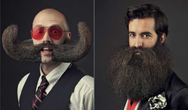 Красивая борода у мужчин фото – Ой!