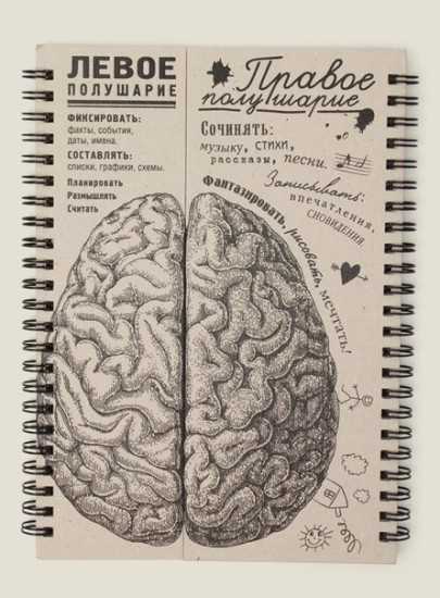 Креативный подарок на день рождения девушке – Креативные подарки девушке на день рождения