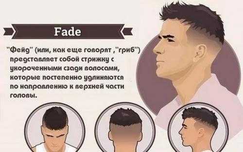 Low fade прическа – что это такое, фото мужских стрижек low, mid, high, skin, scissor, taper fade, модные варианты — гриб, короткий, средний фейдинг с дымчатым переходом, как у Элджея, техника выполнения, схема, видео, как подобрать по типу лица