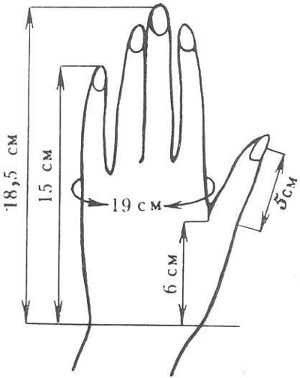 М размер руки – Как узнать размер своей руки в M, L и XL?
