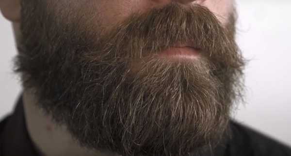 Масло репейное борода – Репейное масло для роста бороды: отзывы, применение, рецепты