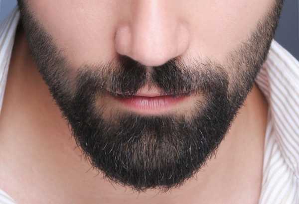 Масло репейное борода – Репейное масло для роста бороды: отзывы, применение, рецепты