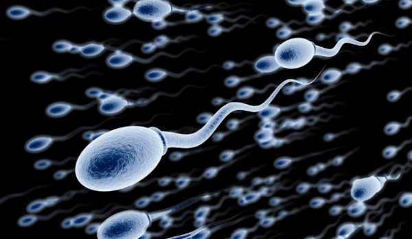 Много кончины – нормы спермы и как увеличить ее объем