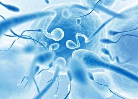 Много спермы как – Почему у кого-то выделяется много спермы?
