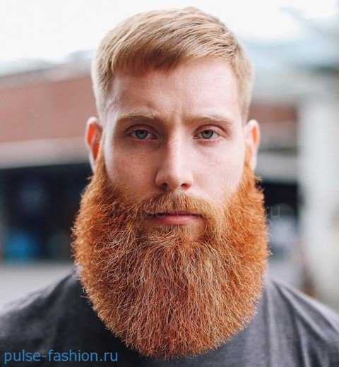 Мужская борода – Ой!