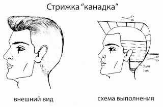 Мужская прическа канадка – Ой!