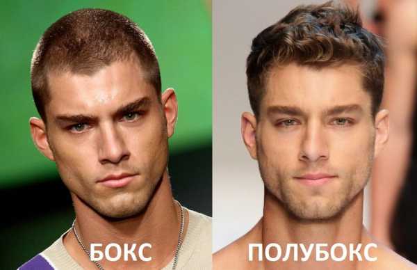 Мужские формы лица – Как подобрать стрижку и прическу мужчине по форме лица и структуре волос