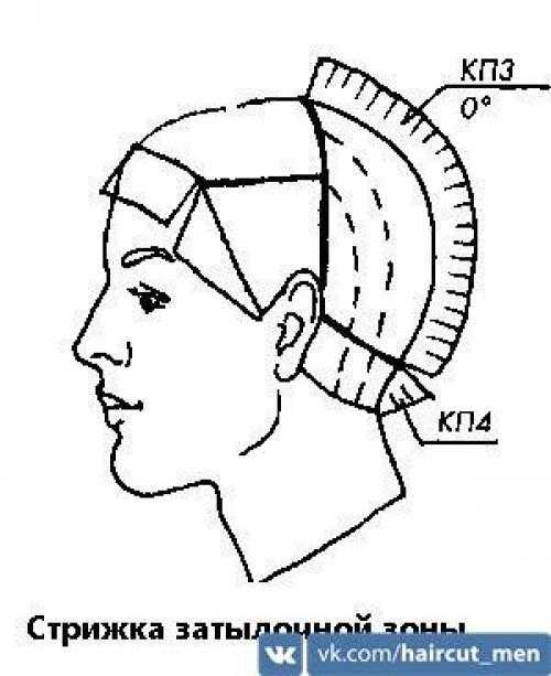 Мужских стрижек схема – Мужские стрижки технология выполнения