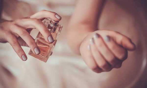 Мужской парфюм с феромонами рейтинг – миф или реальность и как они появились?