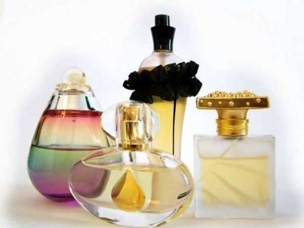 Мужской парфюм с феромонами рейтинг – миф или реальность и как они появились?