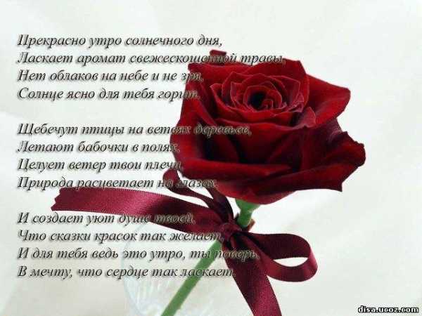 Нежные слова любимой девушке в картинках – Красивые картинки о любви к девушке (35 фото) • Прикольные картинки и юмор