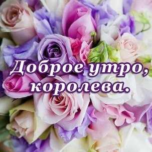 Нежные слова любимой девушке в картинках – Красивые картинки о любви к девушке (35 фото) • Прикольные картинки и юмор