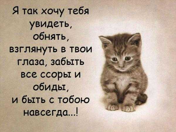 Нежные слова любимой девушке в картинках – Красивые картинки о любви к девушке (35 фото) • Прикольные картинки и юмор