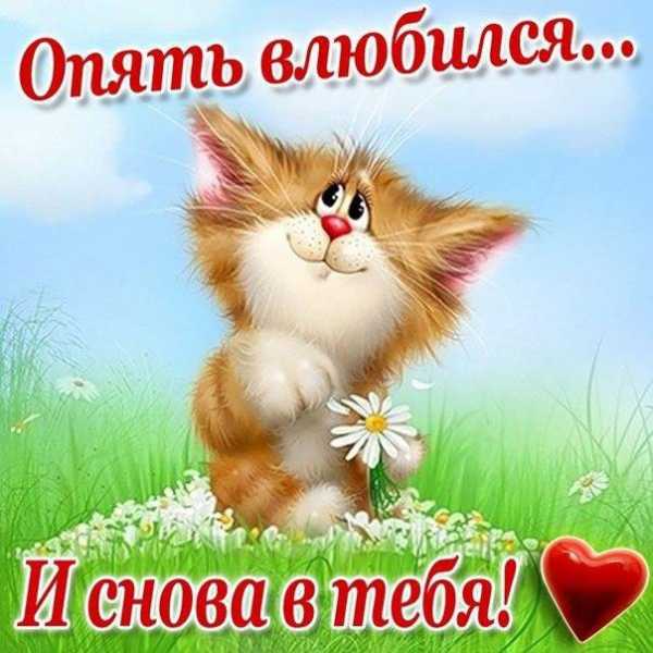 Нежные слова любимой девушке в картинках – Красивые картинки о любви к девушке (35 фото) • Прикольные картинки и юмор