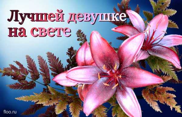 Нежные слова любимой девушке в картинках – Красивые картинки о любви к девушке (35 фото) • Прикольные картинки и юмор