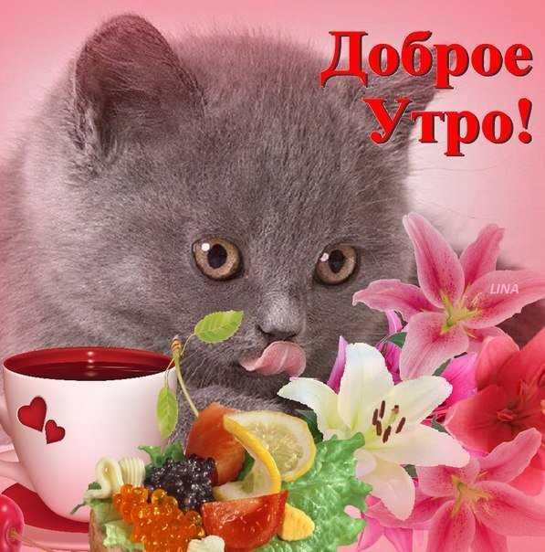 Нежные слова любимой девушке в картинках – Красивые картинки о любви к девушке (35 фото) • Прикольные картинки и юмор