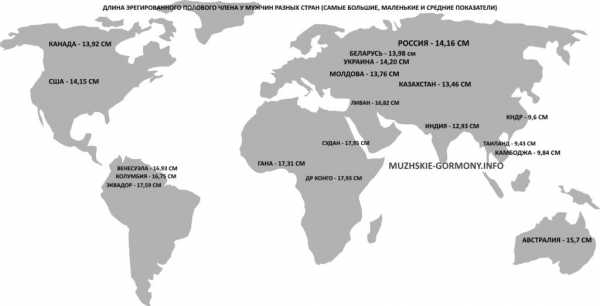 Нормальный размер мужского достоинства россиян – длина и толщина пениса у мужчин в России, среднестатистические параметры органа в других странах с фото