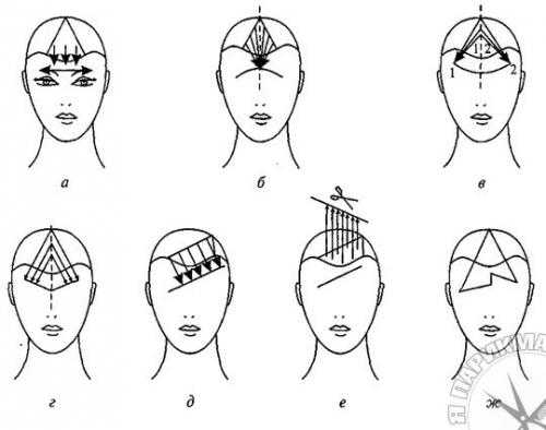 Окантовка стрижка – Виды окантовки волос для мужской и женской стрижки и правила выбора окантовочной машинки