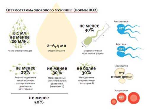 От чего много спермы – Почему у кого-то выделяется много спермы?