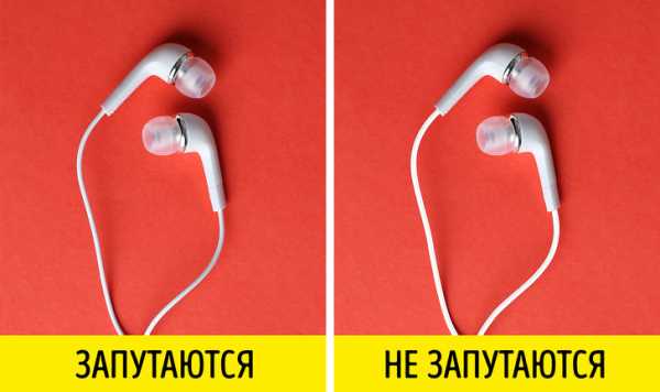 Ответы на интересные вопросы – Интересные вопросы и ответы для любознательных