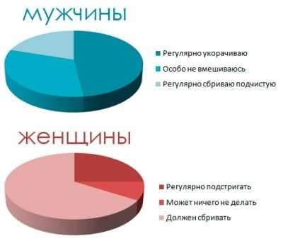 Почему в паху растут волосы – Почему растут волосы в паху: немного об анатомии человека