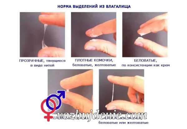 Почему женщины текут – каково это — «течь», что при этом чувствуешь?
