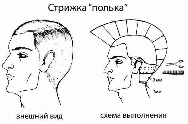 Полька стрижка – фото видео, технология выполнения английской