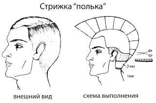 Полька стрижка – фото видео, технология выполнения английской