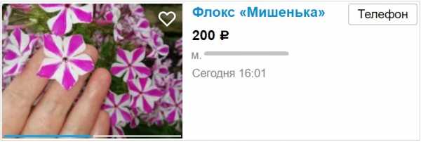 Поместить объявление бесплатно на авито без регистрации бесплатно – Подать объявление бесплатно и без регистрации на доску объявлений