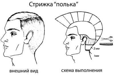 Прически для лопоухих мужчин – Модные стрижки для парней с большими ушами