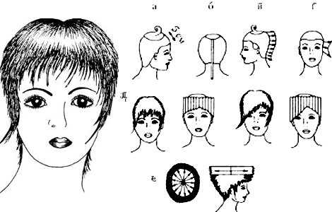 Прическа рисунок 7 класс