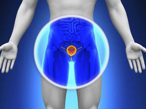 Простаты что это – Что такое простата у мужчин и как она проявляется
