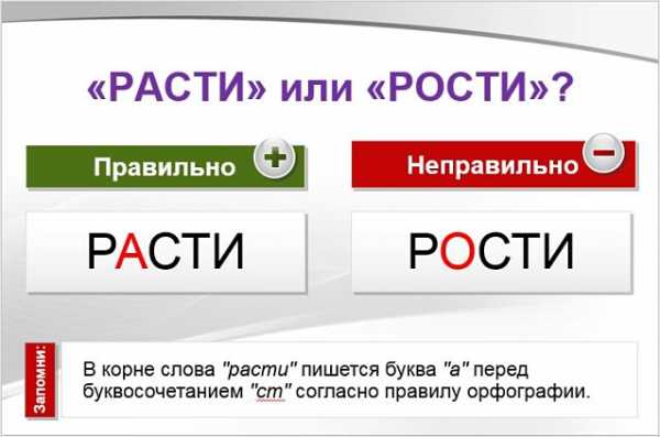 Расти начинает – «Рости» или «расти» как правильно пишется слово?