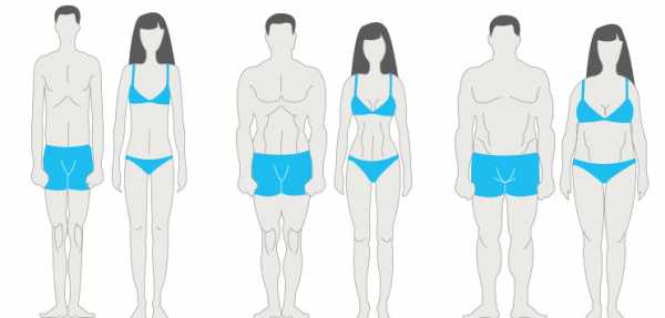 Размер запястья у женщин – Тип телосложения по запястью (онлайн калькулятор)