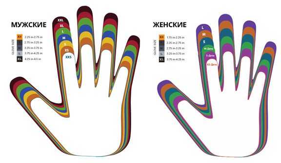 Размерная сетка мужских перчаток – Размеры женских и мужских перчаток, таблица размеров перчаток для женщин и мужчин