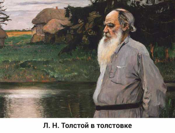 Разновидности толстовок – Размеры толстовки и какие виды толстовок существуют