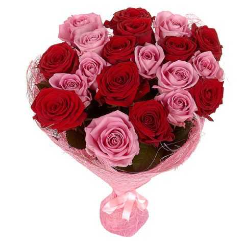 Розы для девушки – Сколько роз можно дарить женщине и девушке на день рождение. Советы по количеству