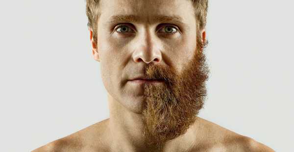 С бородой или без – Жизнь с бородой и без бороды: разница