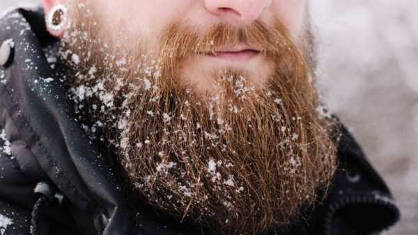 С бородой или без – Жизнь с бородой и без бороды: разница