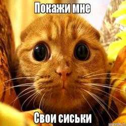 Сердечко не отвечает – Что значат сердечки в вк разных цветов?