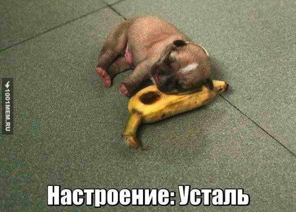 Сердечко не отвечает – Что значат сердечки в вк разных цветов?
