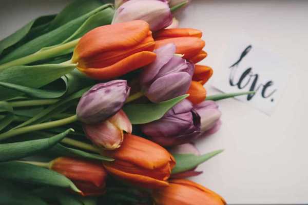 Сколько девушкам дарят цветов – Сколько роз можно дарить девушке