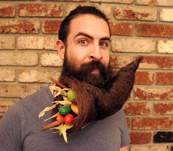 Смешная борода – Фотографии самых смешных в мире бород