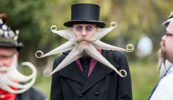 Смешная борода – Фотографии самых смешных в мире бород