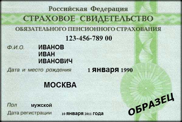 Снилс номер как выглядит – СНИЛС что это такое, как выглядит, как получить и восстановить снилс при утере